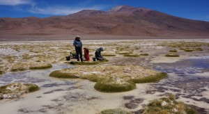 ScreenHunter_219 Jan. 09 16.18