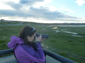 ScreenHunter_224 Jan. 09 16.56