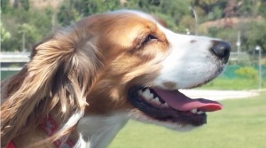 ScreenHunter_407 Apr. 08 12.34