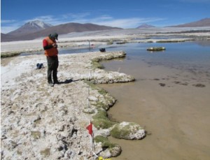 ScreenHunter_409 Apr. 08 12.42