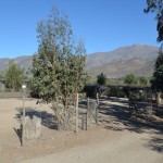 ScreenHunter_679 Jun. 30 13.07