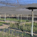 ScreenHunter_680 Jun. 30 13.07