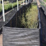 ScreenHunter_681 Jun. 30 13.07