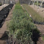 ScreenHunter_682 Jun. 30 13.08