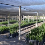 ScreenHunter_683 Jun. 30 13.08