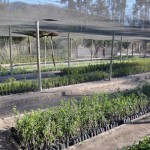 ScreenHunter_684 Jun. 30 13.08