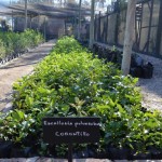 ScreenHunter_685 Jun. 30 13.08