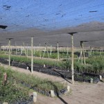 ScreenHunter_686 Jun. 30 13.08