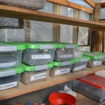 ScreenHunter_692 Jun. 30 13.09