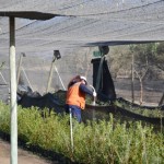 ScreenHunter_693 Jun. 30 13.09