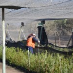 ScreenHunter_694 Jun. 30 13.09