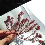 Proyecto Línea de Transmisión (4)