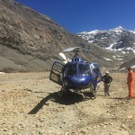 Yerba Loca diciembre 2016 (1)