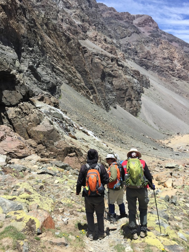 Yerba Loca diciembre 2016 (12)