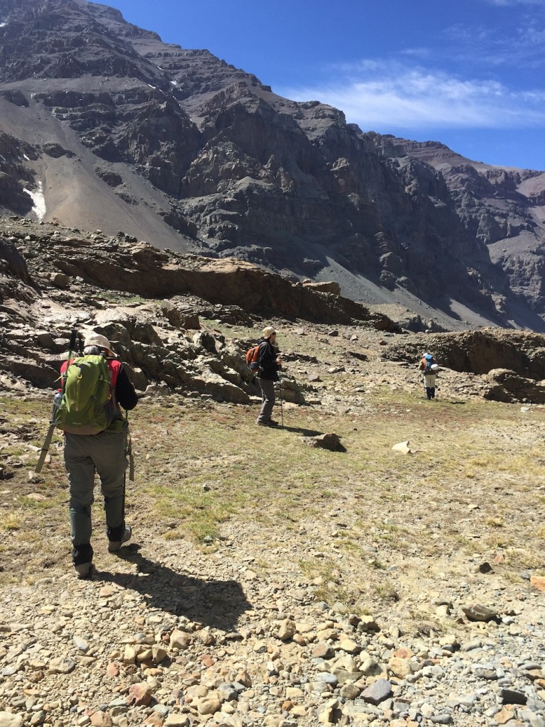 Yerba Loca diciembre 2016 (14)
