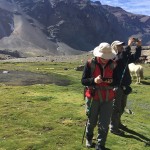 Yerba Loca diciembre 2016 (17)