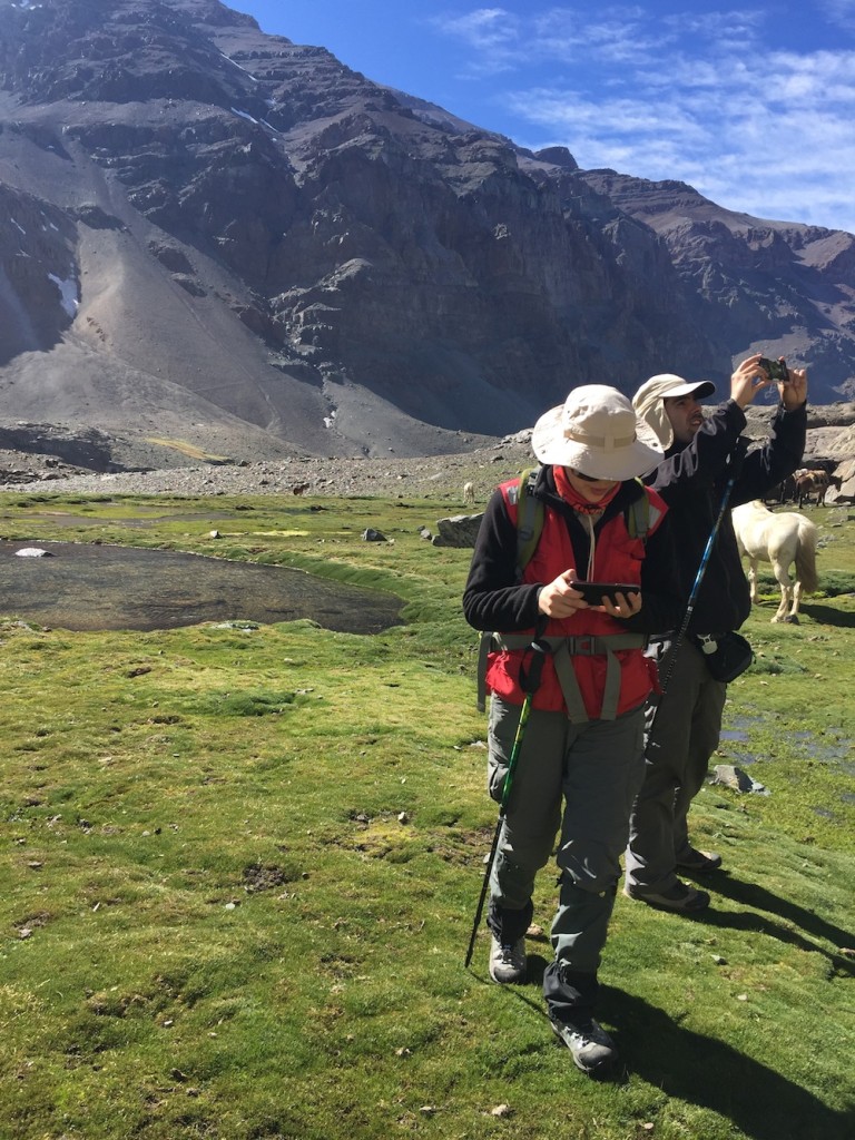 Yerba Loca diciembre 2016 (17)