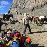 Yerba Loca diciembre 2016 (18)