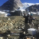 Yerba Loca diciembre 2016 (2)