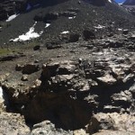 Yerba Loca diciembre 2016 (23)