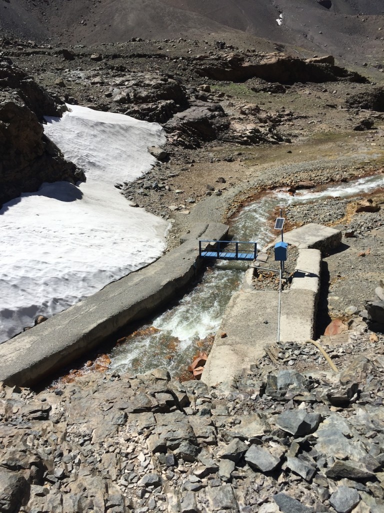 Yerba Loca diciembre 2016 (24)