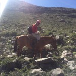 Yerba Loca diciembre 2016 (4)