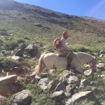 Yerba Loca diciembre 2016 (5)