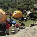 Yerba Loca diciembre 2016 (6)