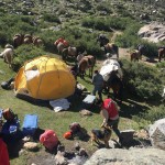 Yerba Loca diciembre 2016 (7)