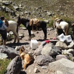 Yerba Loca enero 2017 (1)