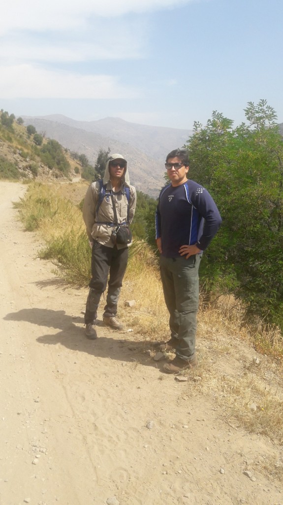 Yerba Loca enero 2017 (10)