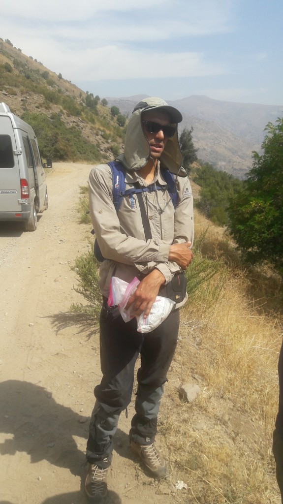 Yerba Loca enero 2017 (11)