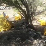 Yerba Loca enero 2017 (12)