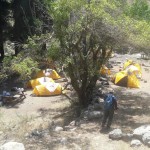 Yerba Loca enero 2017 (13)