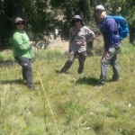 Yerba Loca enero 2017 (15)