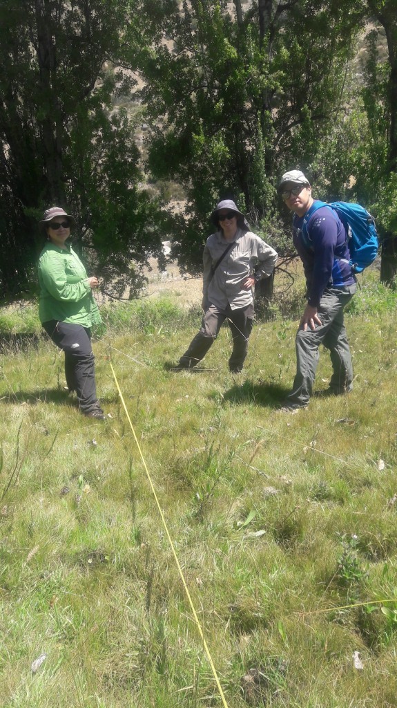 Yerba Loca enero 2017 (15)