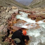 Yerba Loca enero 2017 (2)