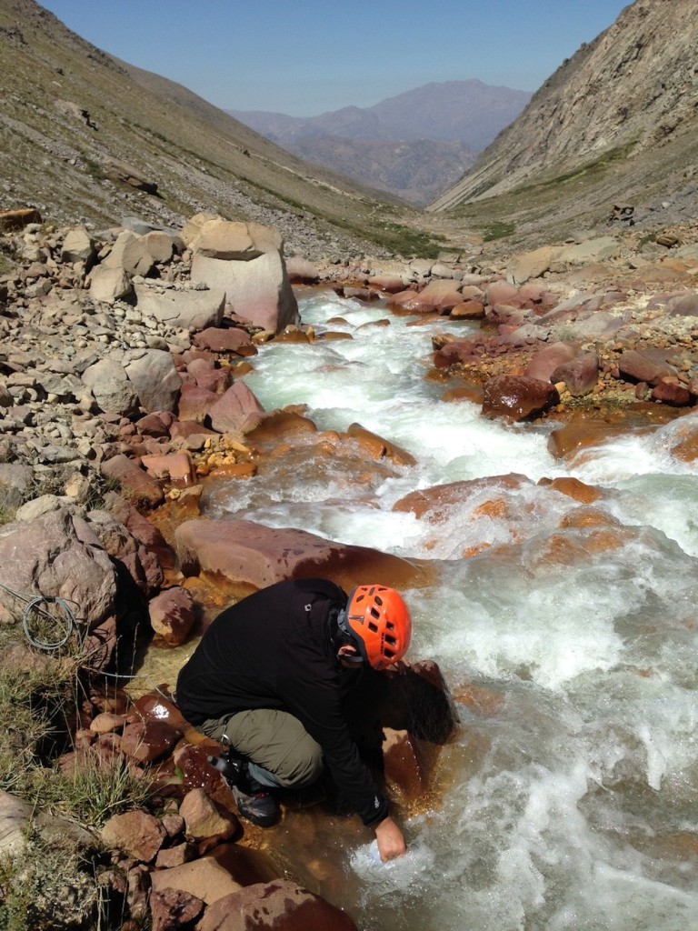 Yerba Loca enero 2017 (2)