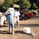 Yerba Loca enero 2017 (4)