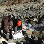 Yerba Loca enero 2017 (6)