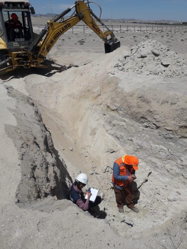 Pequeña calicata paleontológica